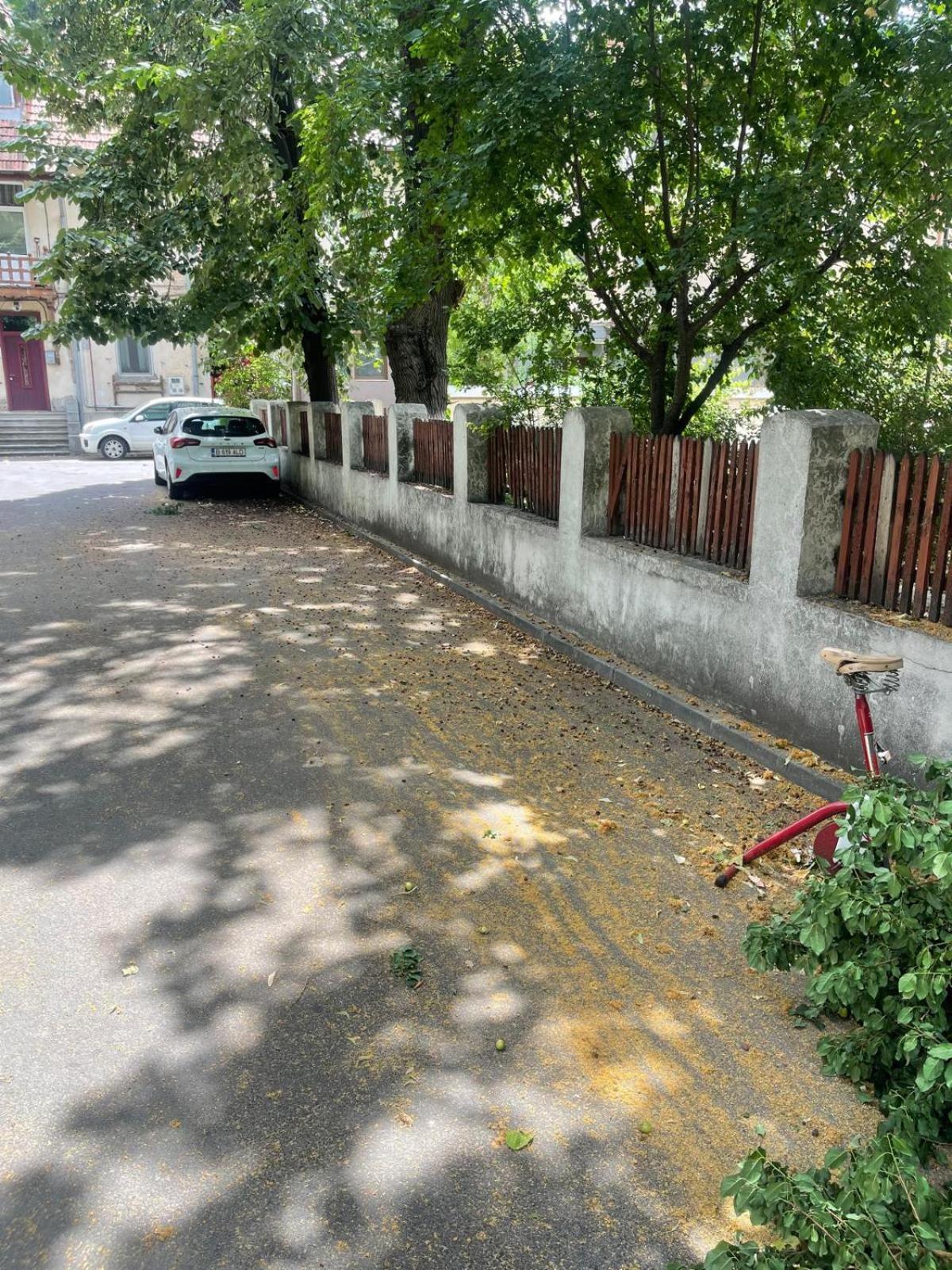 White Studio Bucarest Exterior foto
